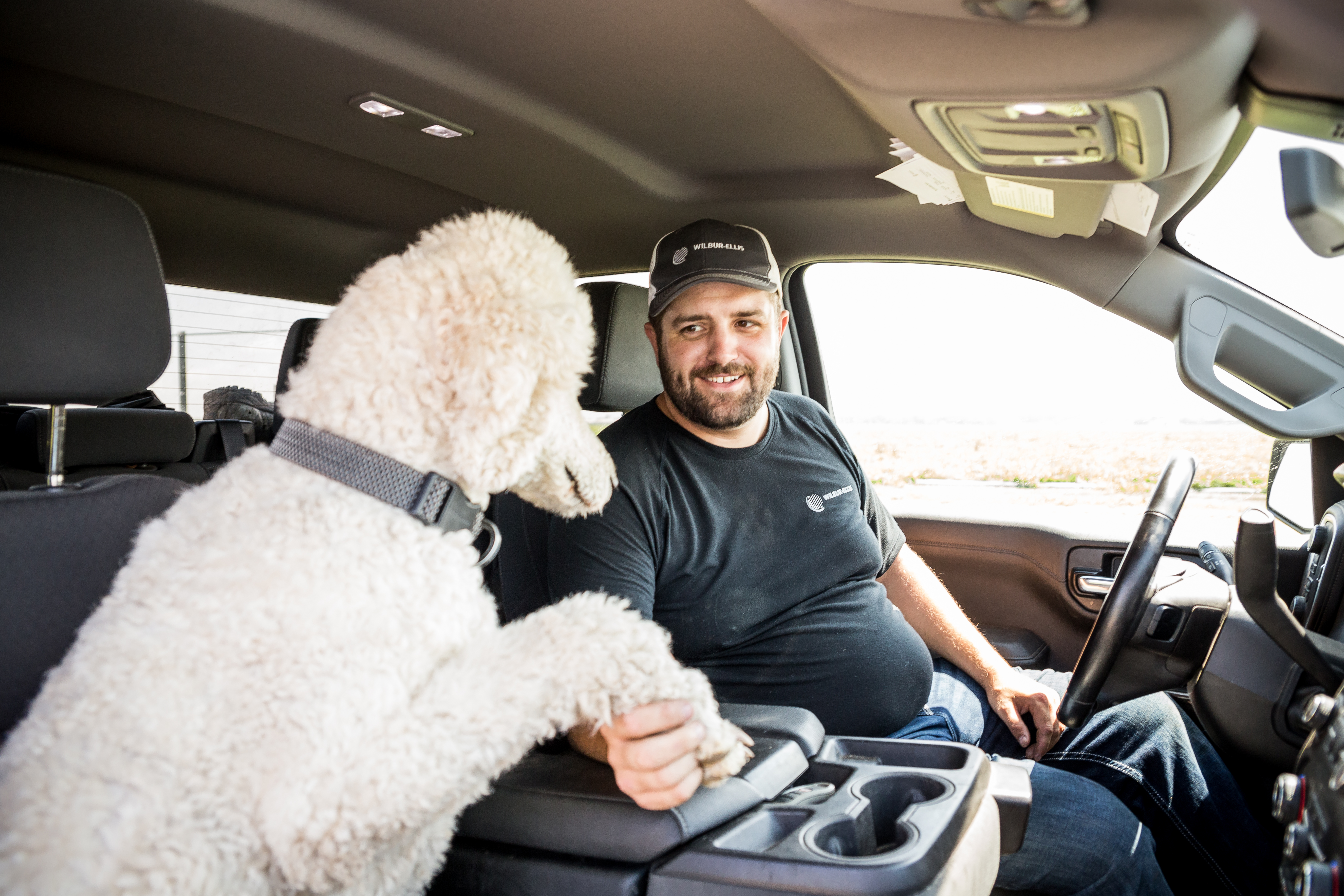 A man shaking hands with a white goldendoodle in the cab of his truck.