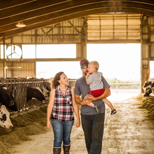 Dairy farmers and their child walk past cows at a feed bunk.