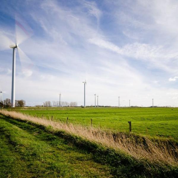 large field with wind turbines