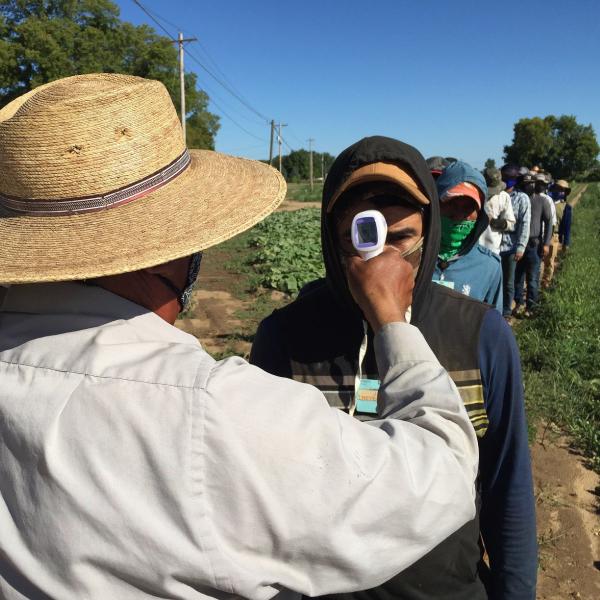 a line of farmers getting their temperature checked
