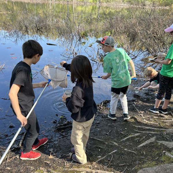 Elementary students exploring a pond's ecosystem.
