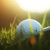 Close up of the head of a golf club in front of a golf ball in the grass