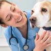 Smiling veterinarian with dog patient.